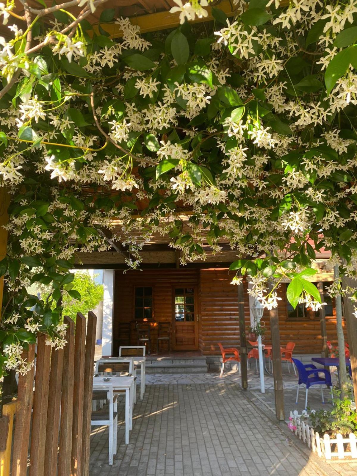 Camping Ishull-lezha